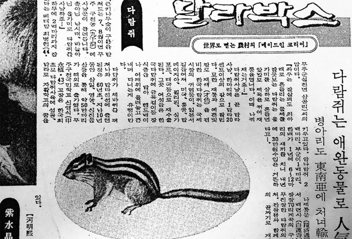 외화를 벌어들이고 있는 농촌의 이색 수출품들을 ‘달라 박스’라고 소개한 1969년 신문기사. 맨 첫머리에 ‘다람쥐’를 소개하고 있다. (조선일보 1969년 4월 22일 자)