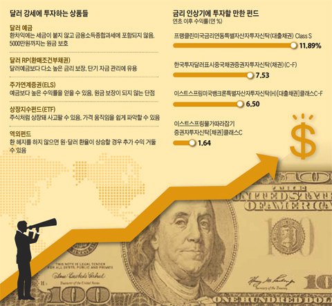 투자전략, 달러 강세에 맞춰야