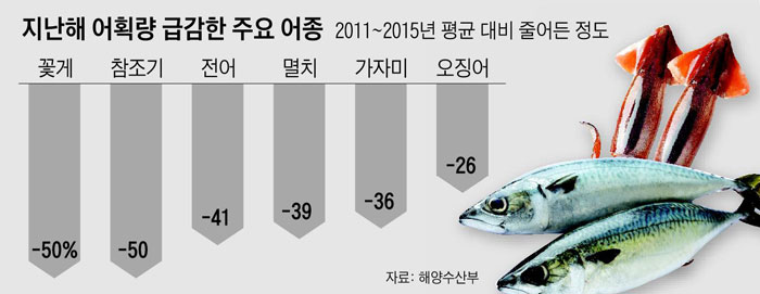 지난해 어획량 급감한 주요 어종