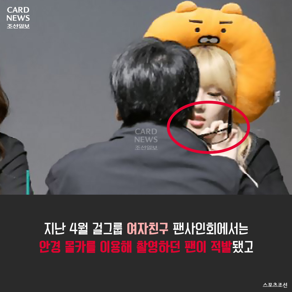 카드뉴스] 극한직업 아이돌 - 조선일보 > 스페셜