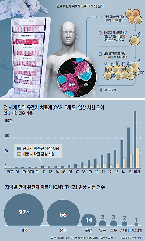 면역 유전자 치료제 원리 그래픽