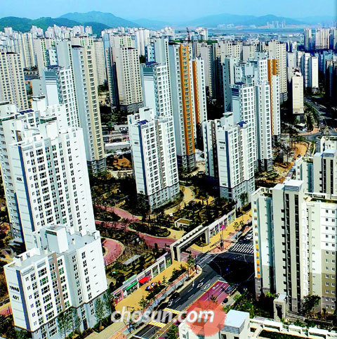 20~30층짜리 고층 아파트들이 빼곡히 들어선 세종시 주거 지역의 모습.