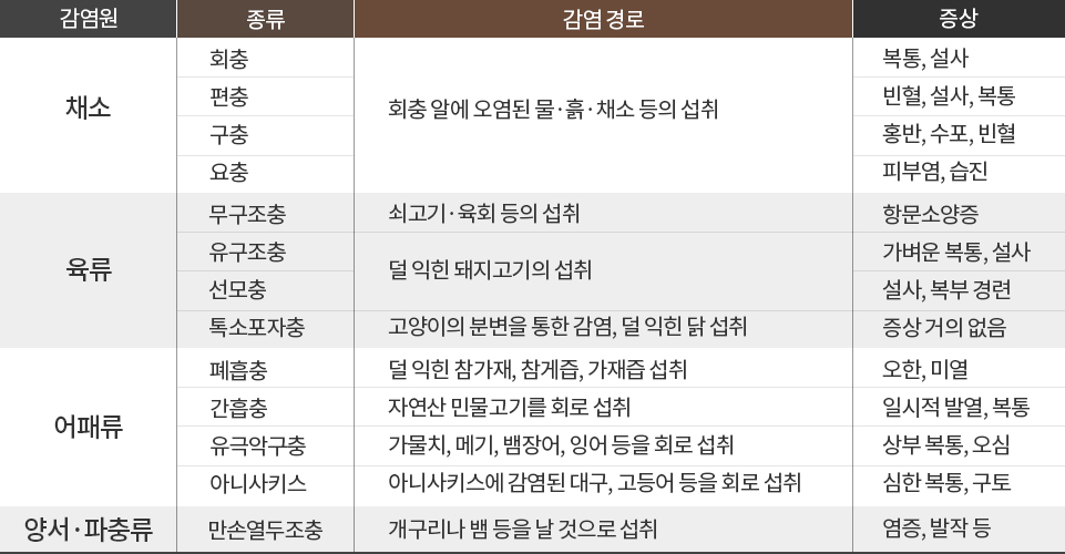 인간 편충 증상
