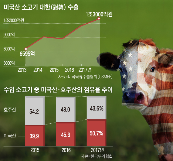 미국산 소고기 대한 수출 그래프