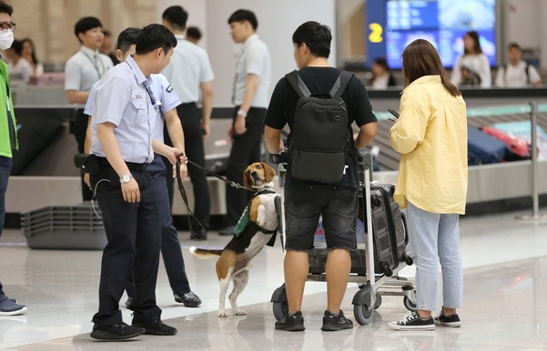 입국장 내 수하물수취대에서 검역탐지견이 여행객들의 짐을 검사하고 있다. /남강호 기자