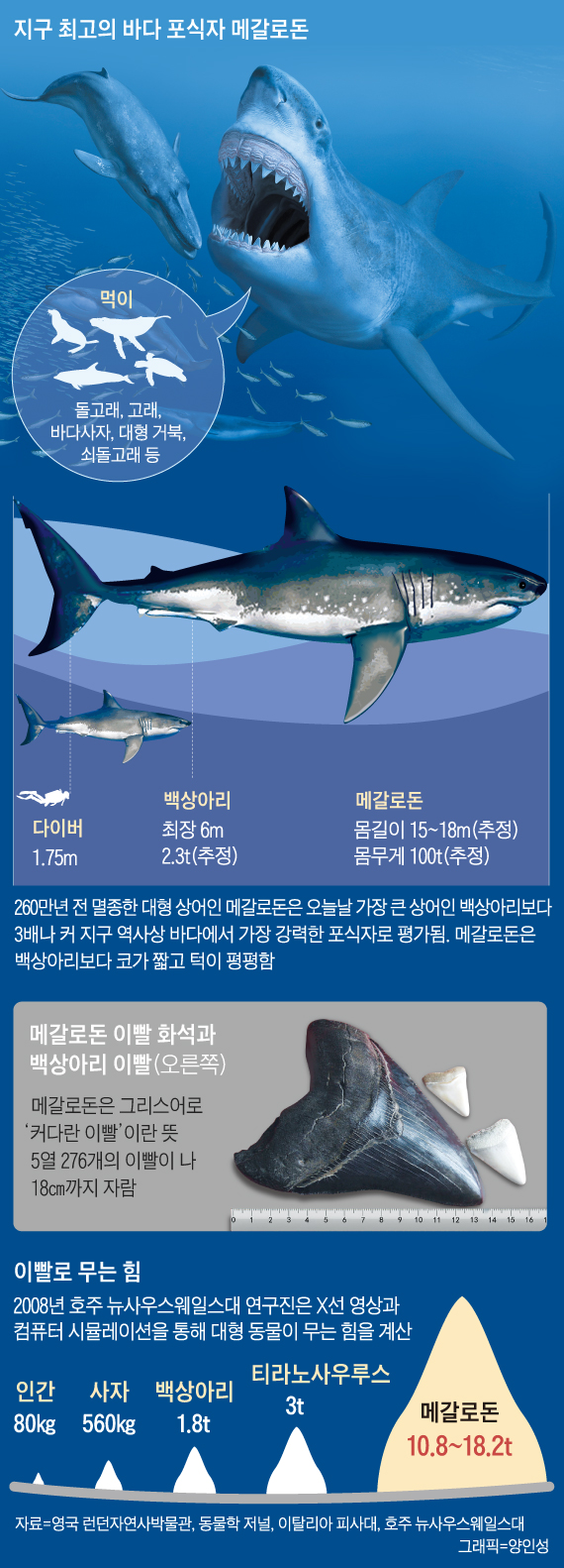 메갈로돈