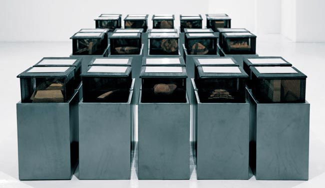 윌럼 보쇼프, 블라인드 알파벳 D~E, 2007년, 나무, 철사, 알루미늄, 철 등, 각 72×35×50.5㎝, 개인 소장.