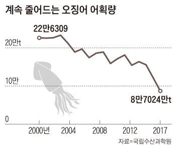 계속 줄어드는 오징어 어획량
