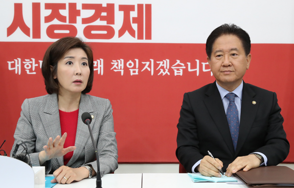 자유한국당 나경원 원내대표(왼쪽)가 7일 오전 북한 발사체 관련 보고를 위해 국회를 찾은 서주석 국방부 차관과 이야기하고 있다./연합뉴스