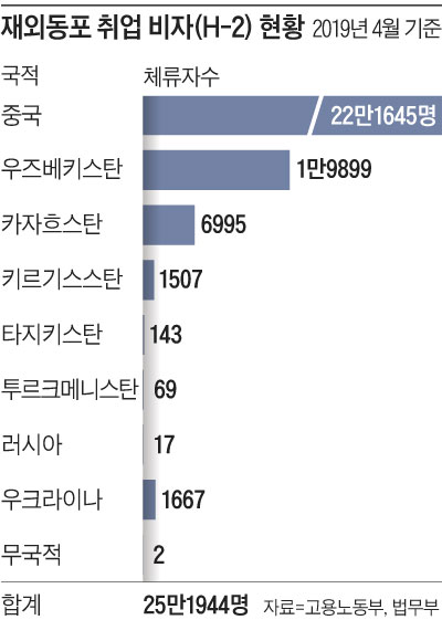재외동포 취업 비자 현황 표