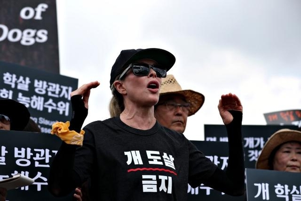 초복인 12일 서울 여의도 국회 앞에서 개도살금지공동행동 주최로 열린 개 도살 반대 집회에서 동물권 운동가로 알려진 할리우드 배우 킴 베이싱어가 발언을 하고 있다. /연합뉴스