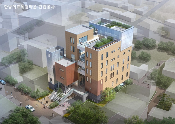 한방의료체험타운 조감도. / 대구시 제공