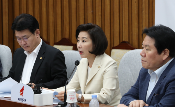 자유한국당 나경원(가운데) 원내대표가 20일 오전 국회에서 열린 원내대책 및 조국 인사청문회 대책TF 연석회의에서 발언하고 있다. /연합뉴스
