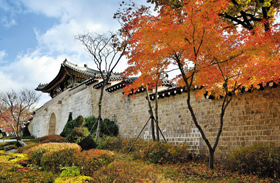 가을 맞은 경복궁 신무문 전경.