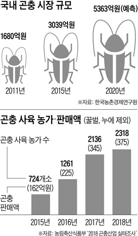 국내 곤충 시장 규모