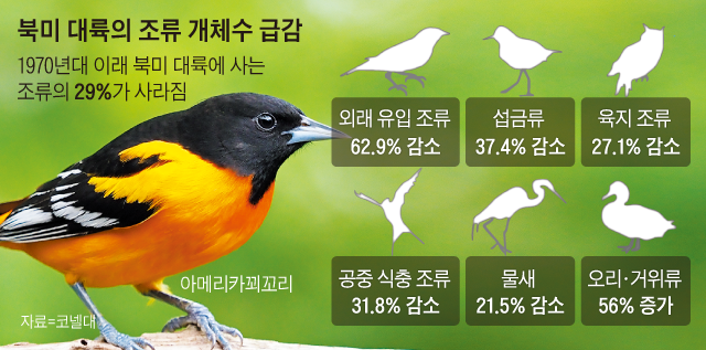 북미 대륙의 조류 개체수 급감