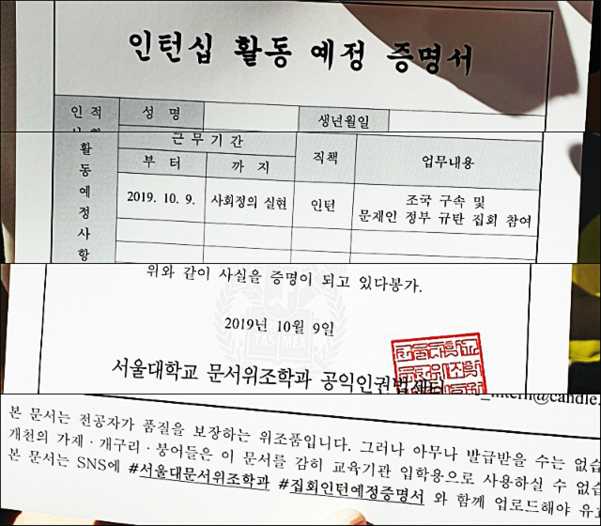 9일 서울대 광화문집회 추진위가 배부한 인턴십 활동 예정 증명서의 주요 문구. /박소정 기자