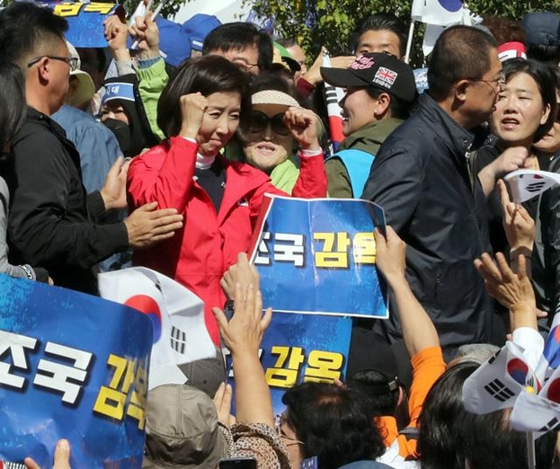 자유한국당 나경원 대표가 9일 '문재인 하야 범국민투쟁본부' 주최 '대한민국 바로세우기 국민대회'에 참석해 환호에 답하고 있다. /뉴시스