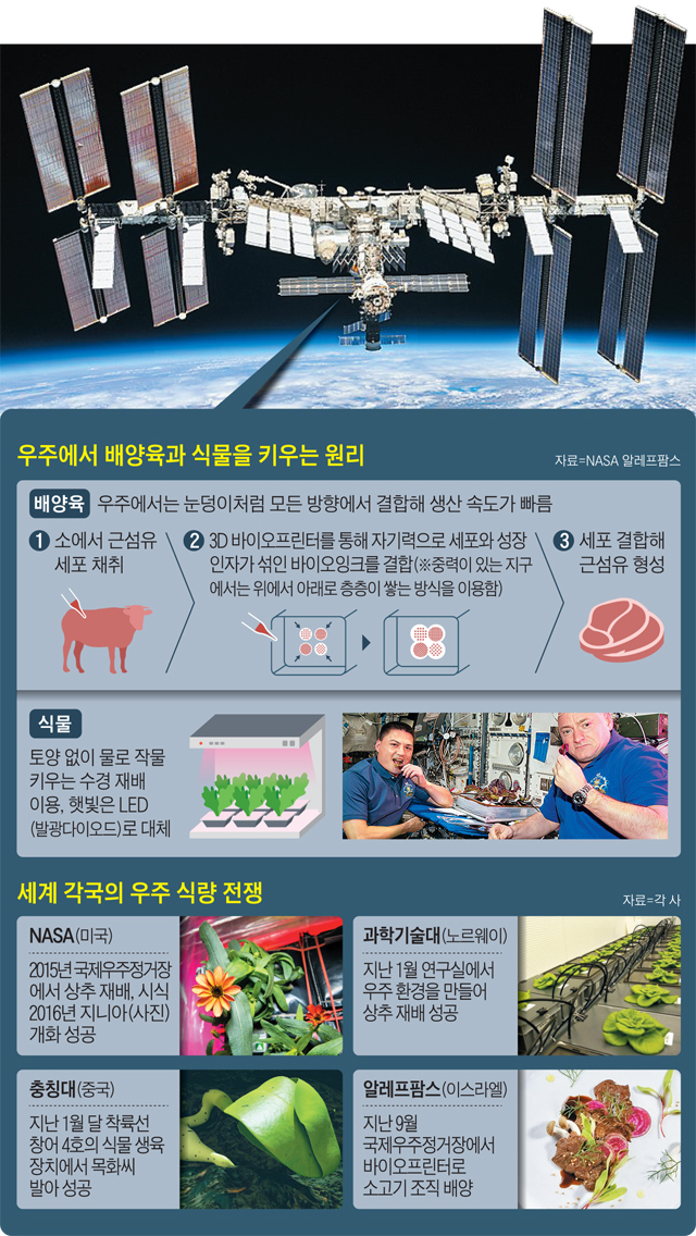우주에서 배양육과 식물을 키우는 원리 그래픽