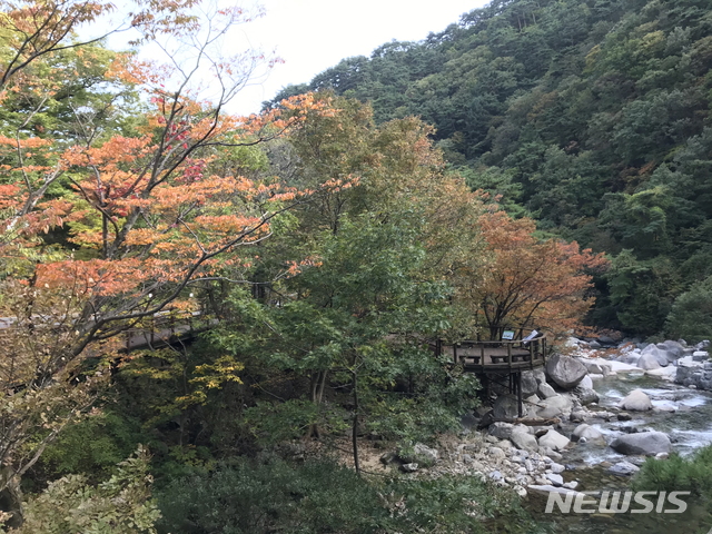 소리길의 농산정