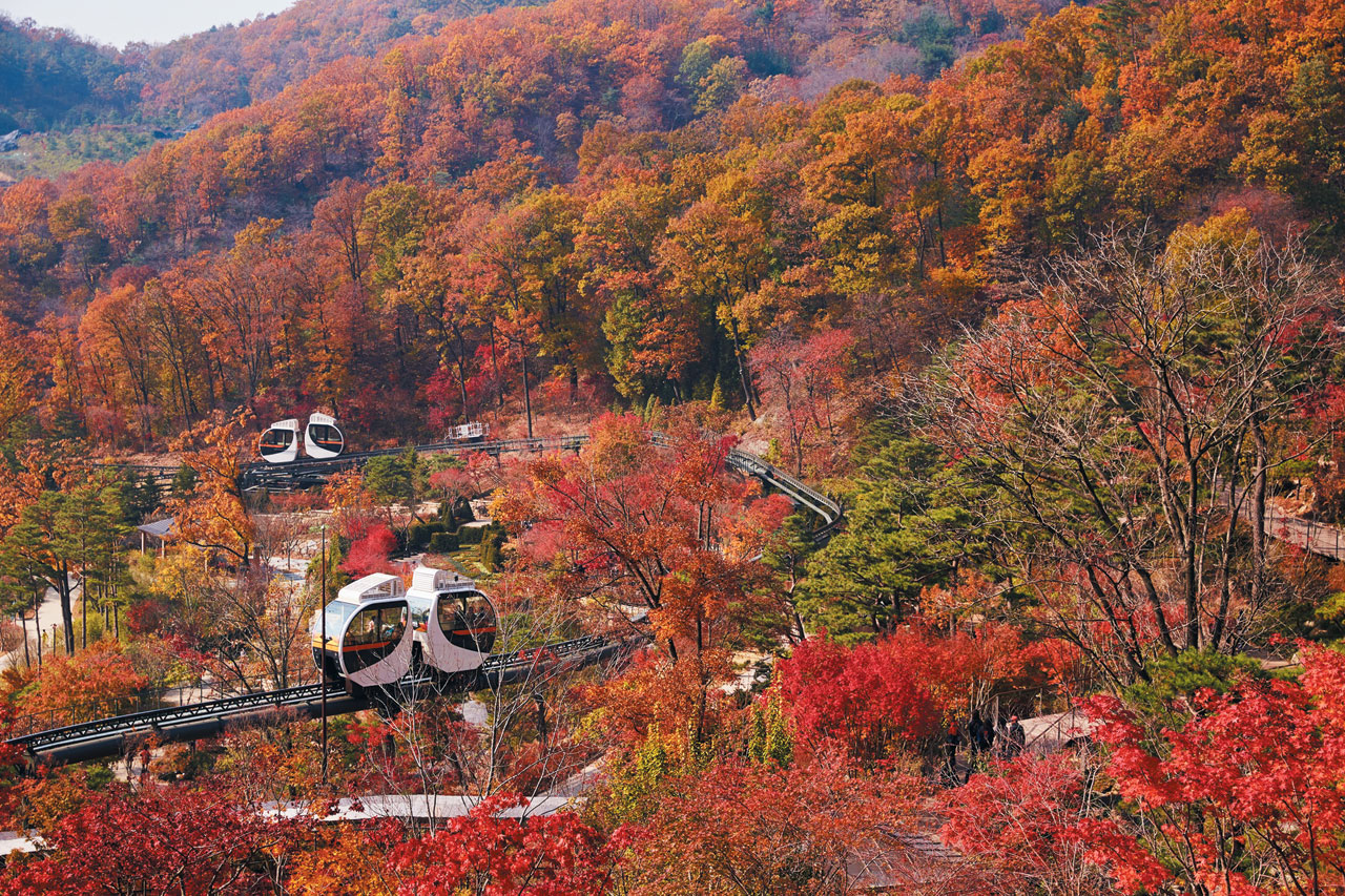 분재원