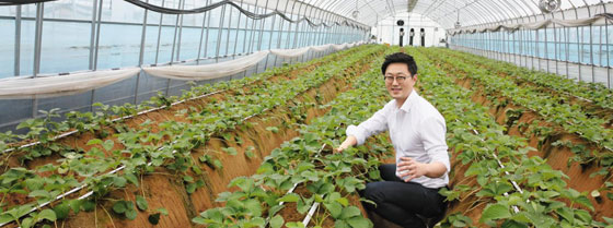 농업인으로 변신한 IT(정보기술) 전문가 안동현 그린랩스 대표가 지난 10일 충남 천안시 입장면에 있는 한 딸기 농장에서 딸기 밭을 따라 이어져 있는 자동 급수 시스템에 대해 설명하고 있다.