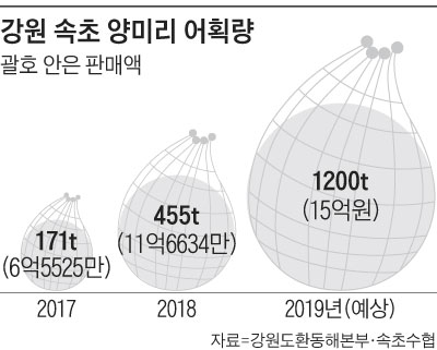 강원 속초 양미리 어획량 그래프