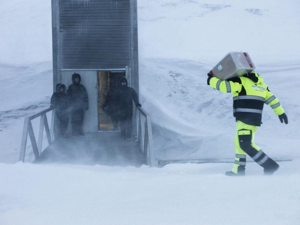 노르웨이 스발바르 국제종자보관소 입구. 직원들이 종자보관 상자를 나르고 있다./ 스발라르 국제종자보관소 제공