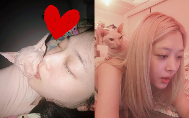 사진=故 설리 인스타그램