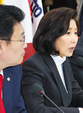 자유한국당 나경원(오른쪽) 원내대표가 10일 국회 기자회견에서 “내년 정부 예산안에서 태양광 사업 등 14조5000억원을 삭감하겠다”고 말하고 있다. 왼쪽은 정용기 정책위의장.