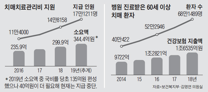 치매치료관리비 지원 그래프