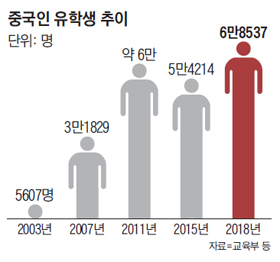 중국인 유학생 추이 그래프