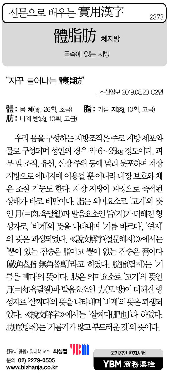 [신문으로 배우는 실용한자] 체지방(體脂肪)