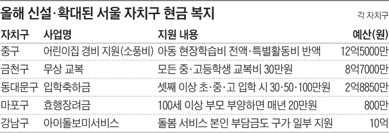 올해 신설·확대된 서울 자치구 현금 복지