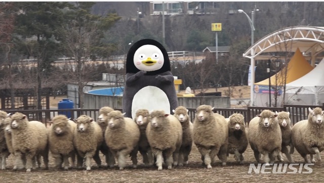 안성팜랜드에서 양떼를 몰고 있는 펭수.(사진=한국관광공사 제공)