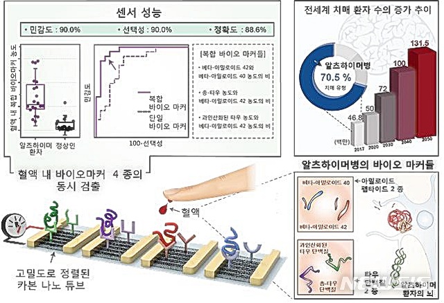 카이스트