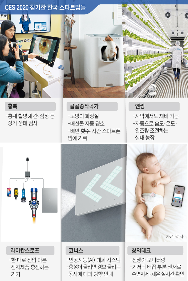 CES 2020 참가한 한국 스타트업들 그래픽
