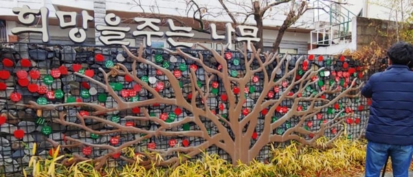 전북 전주시 노송동 주민센터에 나무 조형물인 ‘희망을 주는 나무’가 설치돼 있다. 지난달 30일 ‘얼굴 없는 천사’가 이곳에 성금을 두고 갔으나 미리 알고 노린 일당이 훔쳐 달아났다. /연합뉴스