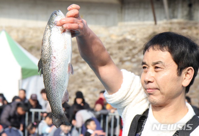 맨손잡기 어신