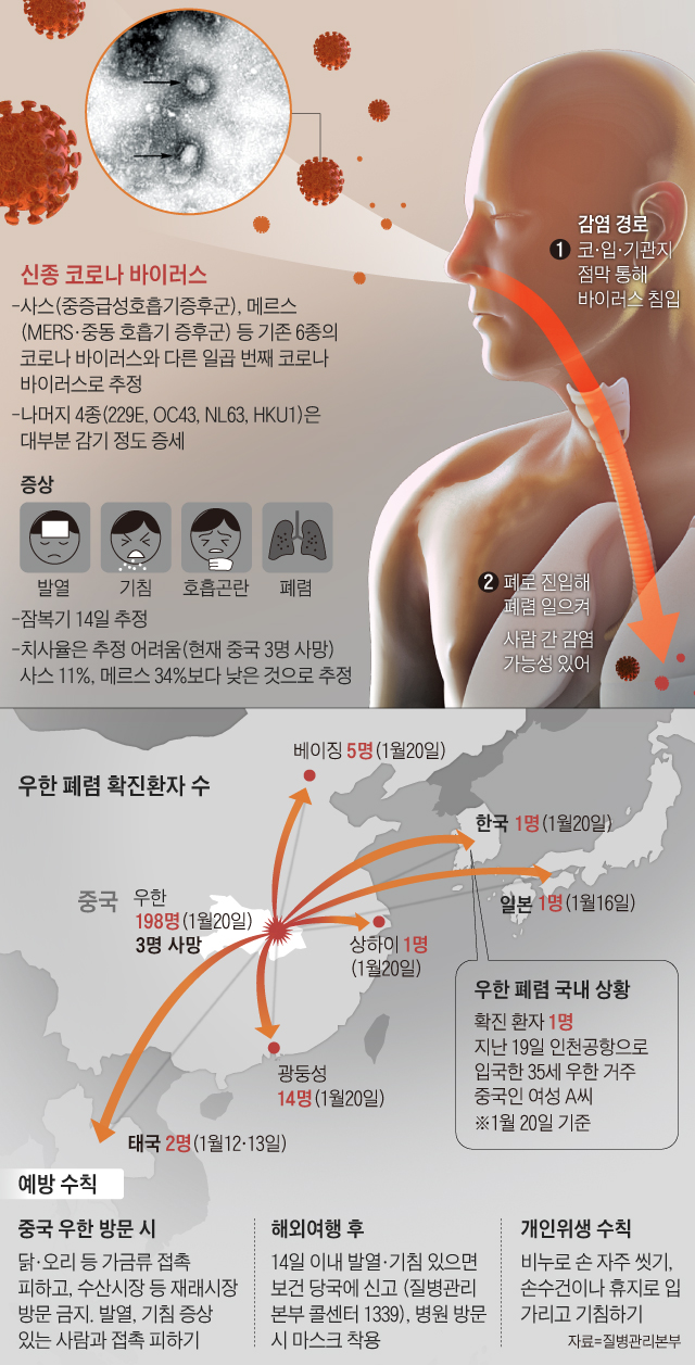 우한 폐렴 확진환자 수 외