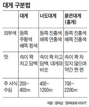 겨울바다 진미&hellip; 대게잡이 체험