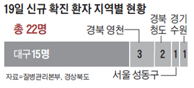19일 신규 확진 환자 지역별 현황 그래프