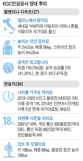 KGC 인삼공사 양대 뿌리 정리 표