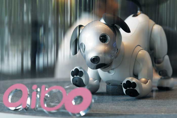 소니가 지난 1999년 처음으로 선보인 가정용 로봇 아이보(aibo). 아이보의 개발 전담 부서였던 바이오는 로봇 사업에도 진출했다.