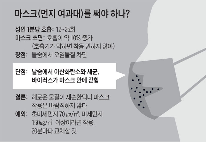 마스크(먼지 여과대)를 써야 하나?