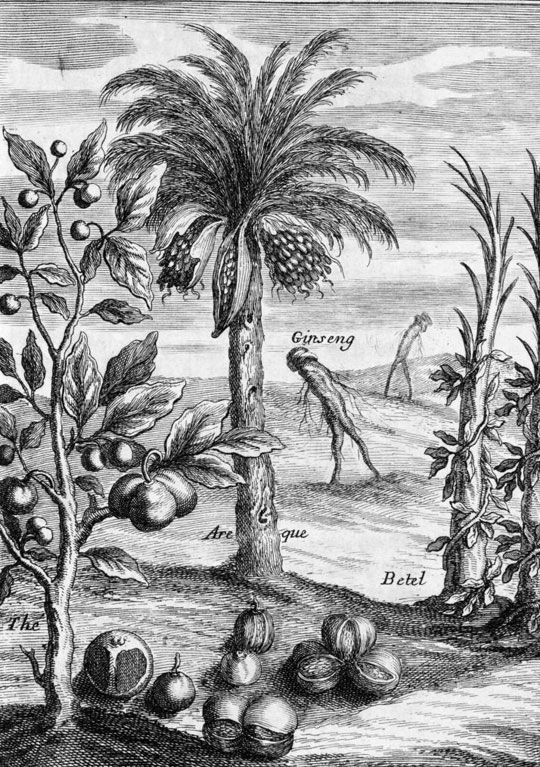 1686년 예수회 선교사 기 타샤르가 쓴 책 '예수회 신부들의 시암 여행'에 실린 삽화. 