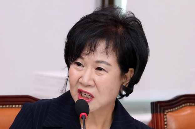 무소속 손혜원 의원 /뉴시스