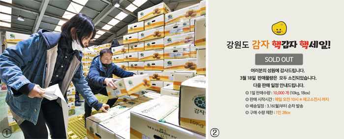 ①내면 농협 창고에서 기자가 전국으로 배달되는 감자 택배 송장을 붙이고 있다. ②지난 18일 강원도 감자 판매 사이트에서 1만 상자가 1분 만에 매진된 뒤 올린 안내문. / 한준호 영상미디어 기자·홈페이지 캡처
