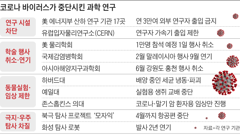 코로나 바이러스가 중단시킨 과학 연구