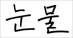 말모이 100년, 내가 사랑한 우리말